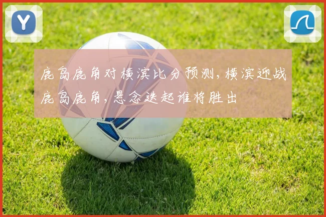 鹿岛鹿角对横滨比分预测,横滨迎战鹿岛鹿角,悬念迭起谁将胜出