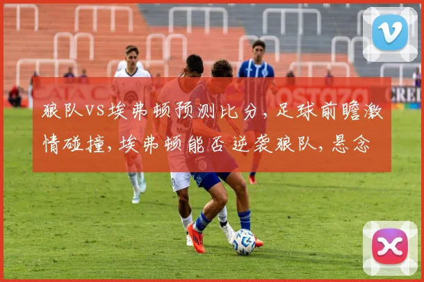 狼队vs埃弗顿预测比分,足球前瞻激情碰撞,埃弗顿能否逆袭狼队,悬念重重